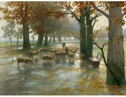 D-6137 Adolf Kaufmann - Stádo ovcí s pastýřkou za deště