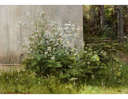 D-6396 Ivan Ivanovič Šiškin - Letní zahrada