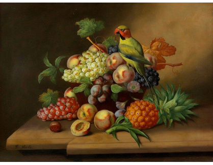 D-6522 Johann Georg Seitz - Zátiší s ovocem a papouškem