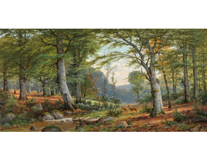 D-6561 Jacobus Johannes van Poorten - Srnec v idylické lesní krajině