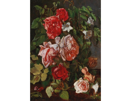 D-6790 Marie Absolon - Růže