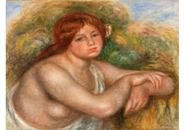 D-6828 Pierre-Auguste Renoir - Akt