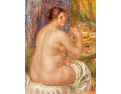 D-6890 Pierre-Auguste Renoir - Akt zezadu