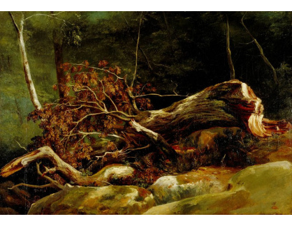 D-6972 Achille Etna Michallon - Zlomený strom vr Fontainebleau