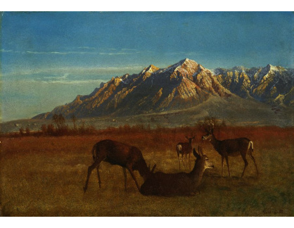 D-6974 Albert Bierstadt - Jeleni v horách