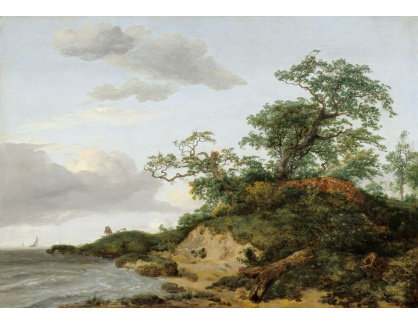 D-7302 Jacob van Ruisdael - Duny u moře