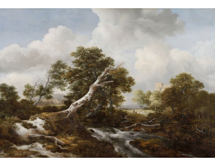 D-7304 Jacob van Ruisdael - Malý vodopád v zalesněné krajině
