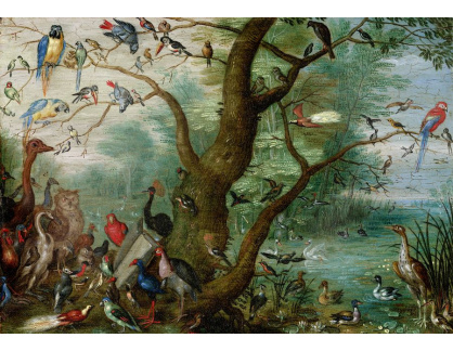 D-7332 Jan van Kessel - Ptačí koncert