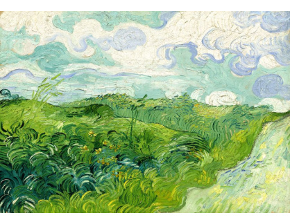 D-7701 Vincent van Gogh - Zelené pšeničné pole v Auvers