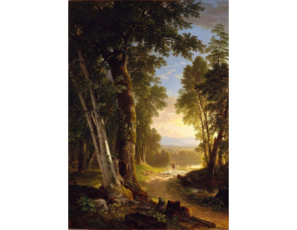 D-7763 Asher Brown Durand - Buky