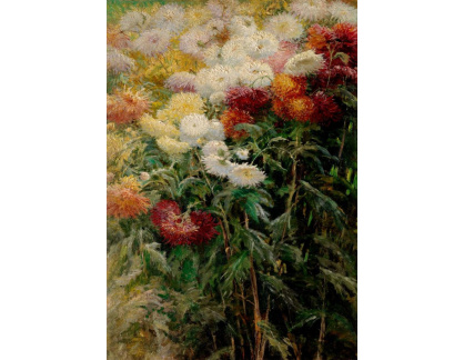 D-7872 Gustave Caillebotte - Chryzantémy v zahradě