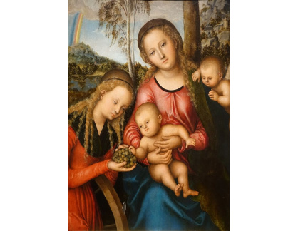 D-7944 Lucas Cranach - Madonna a dítě se svatou Kateřinou