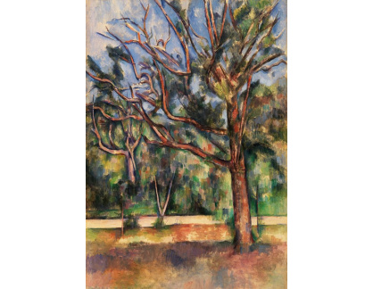 D-8002 Paul Cézanne - Stromy a silnice