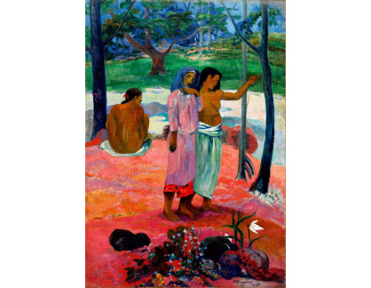D-8017 Paul Gauguin - Volání