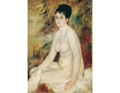 D-8036 Pierre Auguste Renoir - Po koupeli