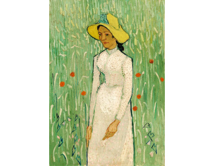 D-8080 Vincent van Gogh - Dívka v bílém