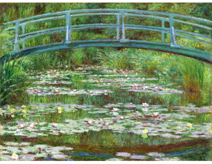 D-8121 Claude Monet - Japonský most