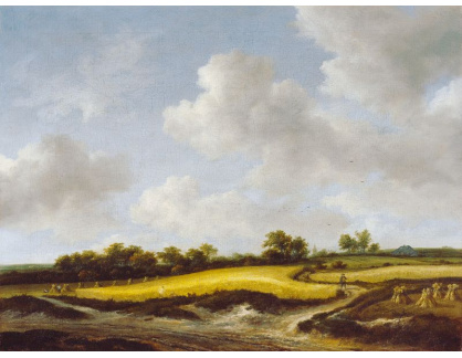 D-8174 Jacob van Ruisdael - Krajina s pšeničným polem