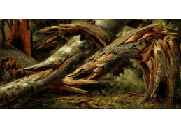 D-8314 Alexandre Calame - Zlomený strom