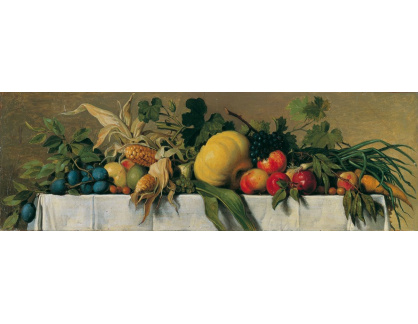 D-8442 Johann Peter Krafft - Zátiší s ovocem a zeleninou