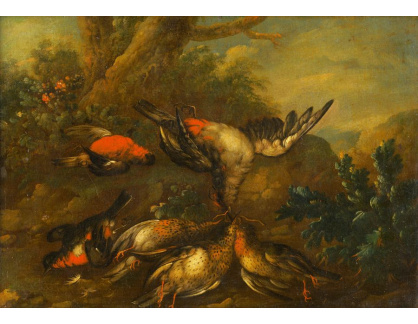 D-8920 Philip Ferdinand Hamilton - Zátiší s mrtvými ptáky