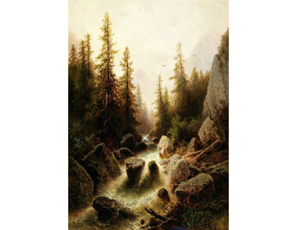 D-9023 Albert Rieger - Vodopád v horách