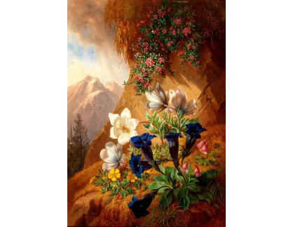 D-9147 Josef Schuster - Zátiší s alpskými květinami