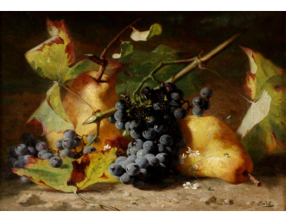 D-9259 Andreas Lach - Zátiší s ovocem