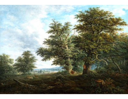 D-9506 Johann Jacob Dorner - Kopcovitá krajina s postavou odpočívající pod duby