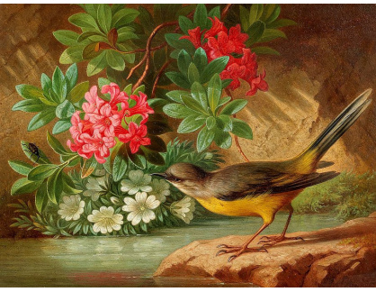 D-9520 Josef Schuster - Zátiší u potoka s alpskými květinami a ptákem