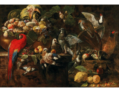 D-9601 Neznámý autor - Mísa s ovocem, papouškem, sojkou a dalšími ptáky na kamenné římse