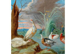 D-9802 Jan van Kessel - Kachny a další ptáci na břehu rybníka