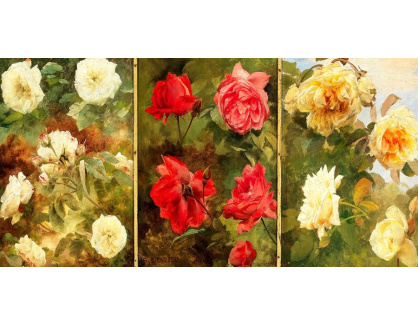 D-9862 Gustave Bienvetu - Bílé, červené a žluté růže