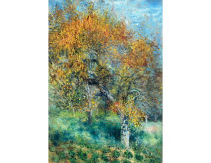 D-9945 Pierre-Auguste Renoir - Hrušky