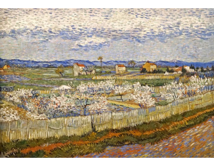 A-9 Vincent van Gogh - La Crau s kvetoucími broskvoněmi