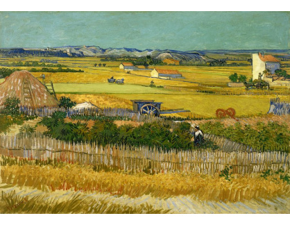 A-17 Vincent van Gogh - Sklizeň v La Crau