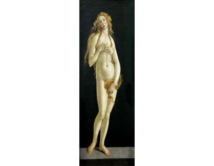 A-98 Sandro Botticelli - Venuše