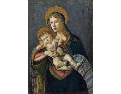A-81 Sandro Botticelli - Madona s dítětem s trnovou korunou