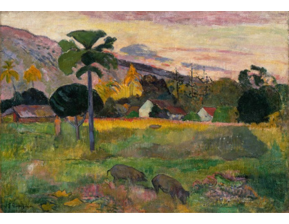 A-108 Paul Gauguin - Pojď sem
