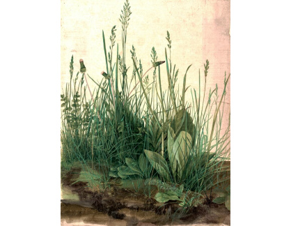 VR12-36 Albrecht Dürer - Velký kus trávníku